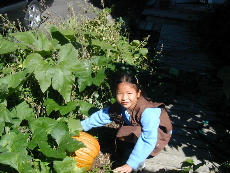 Kaelin checking the growth of her pumpkin